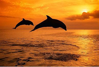 S2赛季蓄势待发！《战地风云2042》强势回归